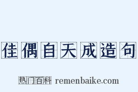 佳偶自天成造句是什么意思的图片